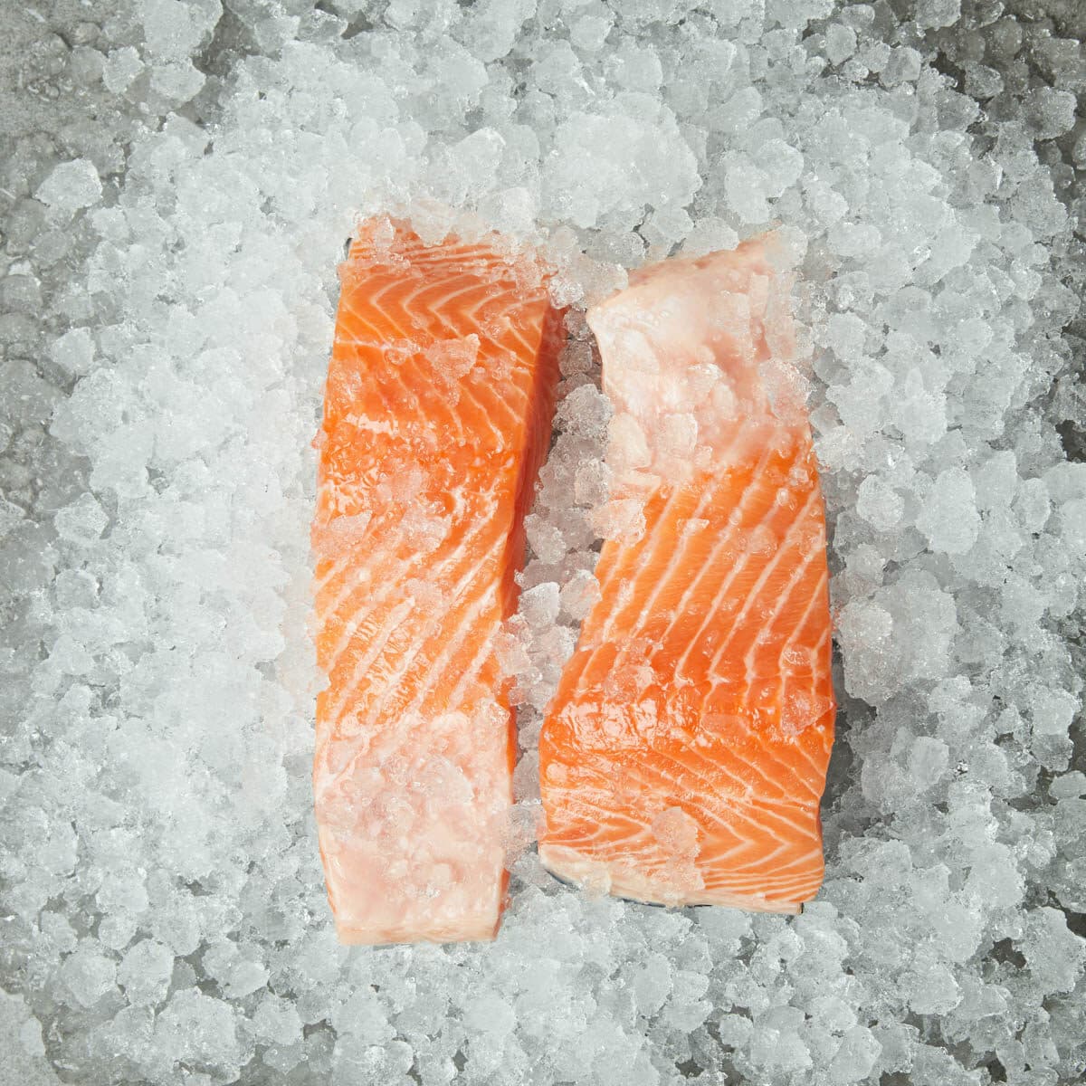 Fresh salmon on a bed of crushed ice.