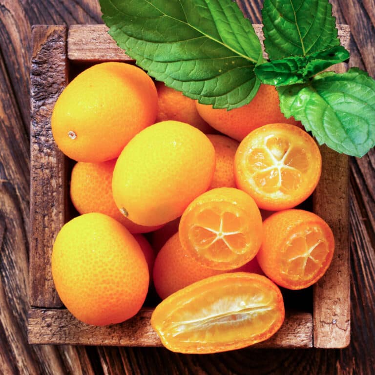 How To Tell When Kumquats Are Ripe