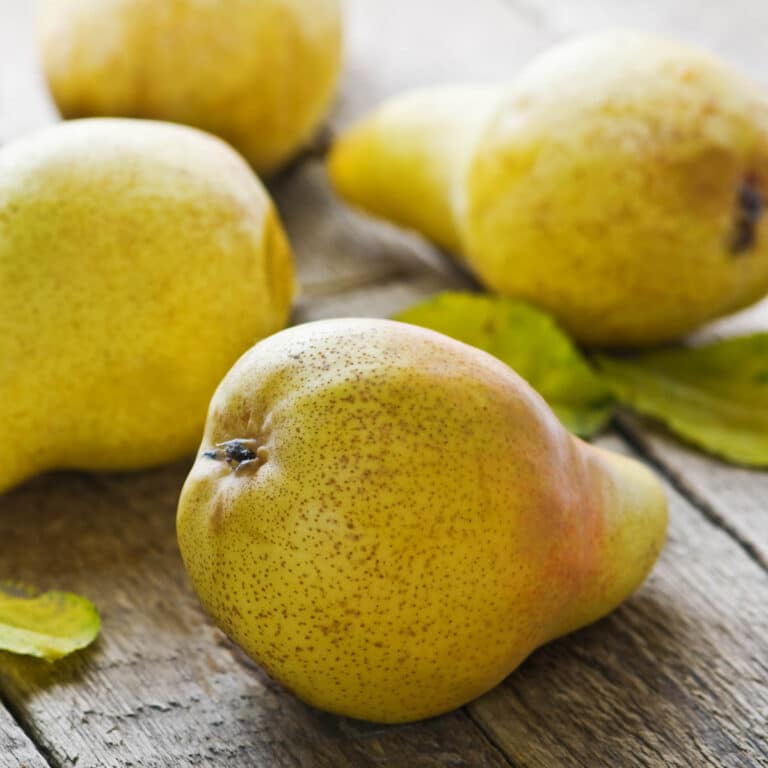 How To Tell If Pears Are Bad